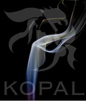 Kopal profile picture