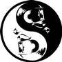 YINGYANG Reggae Party’s profile picture