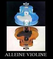 Alleine Violine profile picture