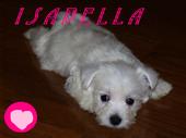 ♥Isabella♥ profile picture