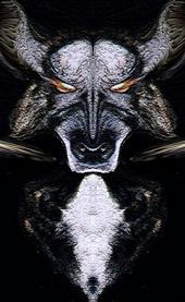 Wolf King profile picture