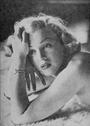 Marilyn Monroe Tribute profile picture