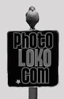 photoLoKo (.com) profile picture