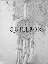 Quillbox profile picture