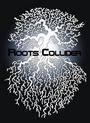 RootsCollider profile picture