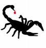 Scorpio profile picture