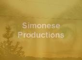 Simonese productions profile picture