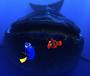 DORY♥ profile picture