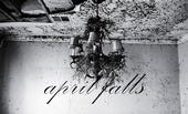 AprilFalls profile picture