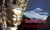 Bodhisattva Trading Co. profile picture