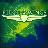 Pilot Wings profile picture