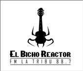 El Bicho Reactor profile picture