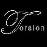 Torsion profile picture