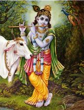 Vrindavan Cow profile picture