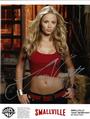 Laura Vandervoort profile picture