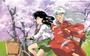 ~ inuyasha*gail ~ profile picture