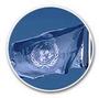 United Nations profile picture
