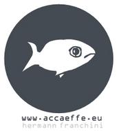 www.accaeffe.eu profile picture