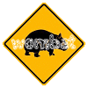 Wombat profile picture