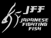 Japanese Fighting Fish profile picture