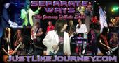 Separate Ways - The Journey Tribute Show profile picture