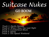 Suitcase Nukes profile picture