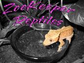 zookeeperreptiles