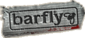 cardiffbarfly