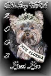 Miss Dog Usa profile picture