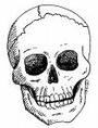 Mrs. Skull profile picture