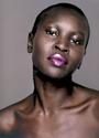 Alek Wek profile picture