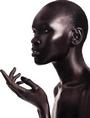 Alek Wek profile picture