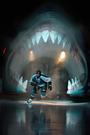 The San Jose Sharks profile picture