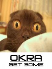 Okra profile picture