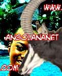 angolananet