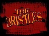 the BRISTLES profile picture