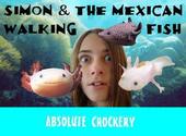 Simon & The Mexican Walking Fish profile picture