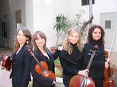 musestringquartet profile picture