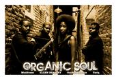 OrganicSoul profile picture