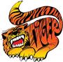 Tigerrific profile picture