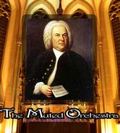 The Muted Orchestra profile picture