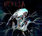 Nekuia profile picture