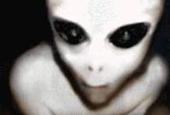 Alien Spammers Are Attacking! profile picture