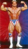 Lex Luger FanSpace profile picture