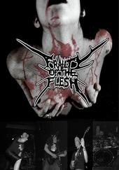 Frailty Of The Flesh(NEW SONGS UP!!!) profile picture