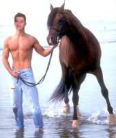 **Davidallrightguy** Romantic Boy... Cowboy UP profile picture