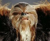 Wise Crackin' Wookiee profile picture