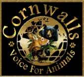 Cornwall's Voice for Animals profile picture