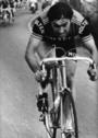 Eddy Merckx profile picture