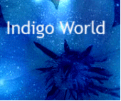 Indigo World profile picture